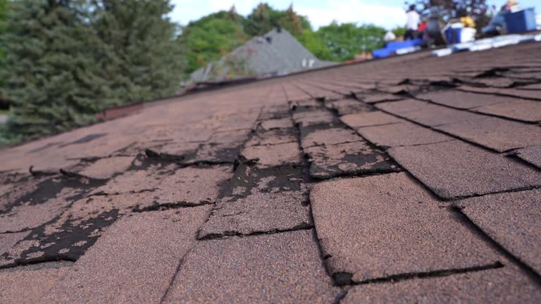 Best Slate Roofing  in Mount Pleasant, IA
