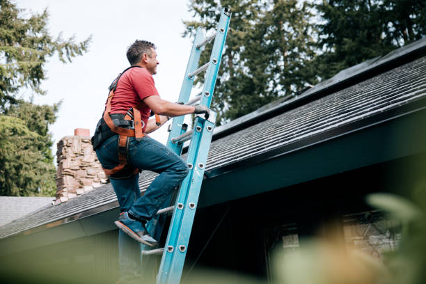 Best Roof Insulation Installation  in Mount Pleasant, IA